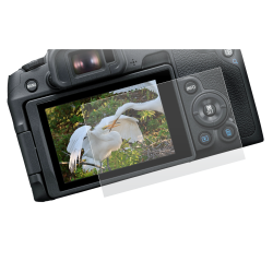 محافظ صفحه نمایش Canon EOS R8