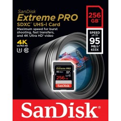 کارت حافظه Sandisk SD 256GB - 95MBs (633x)