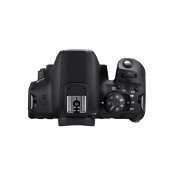دوربین Canon EOS 850D