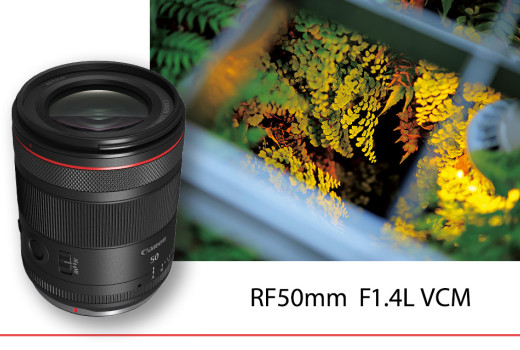 بررسی لنز RF 50mm F1.4L VCM: یک لنز سینمایی ضروری بررسی لنز RF 50mm F1.4L VCM: یک لنز سینمایی ضروری