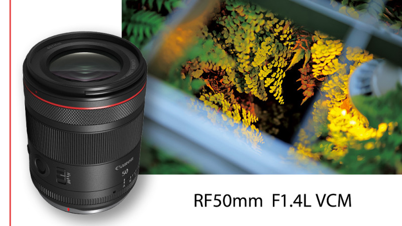 بررسی لنز RF 50mm F1.4L VCM: یک لنز سینمایی ضروری بررسی لنز RF 50mm F1.4L VCM: یک لنز سینمایی ضروری