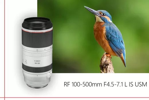 بررسی لنز Canon RF 100-500mm F4.5-7.1L IS USM بررسی لنز Canon RF 100-500mm F4.5-7.1L IS USM