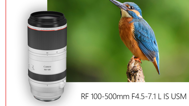 بررسی لنز Canon RF 100-500mm F4.5-7.1L IS USM بررسی لنز Canon RF 100-500mm F4.5-7.1L IS USM