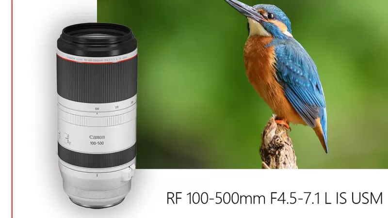 بررسی لنز Canon RF 100-500mm F4.5-7.1L IS USM بررسی لنز Canon RF 100-500mm F4.5-7.1L IS USM