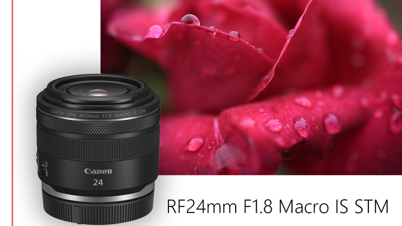 بررسی لنز Canon RF 24mm F1.8 Macro IS STM بررسی لنز Canon RF 24mm F1.8 Macro IS STM