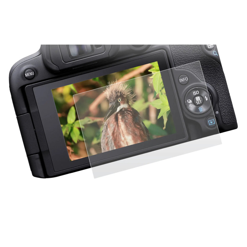 محافظ صفحه نمایش Canon EOS R10 محافظ صفحه نمایش Canon EOS R10