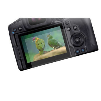 محافظ صفحه نمایش Canon EOS R5 Mark II