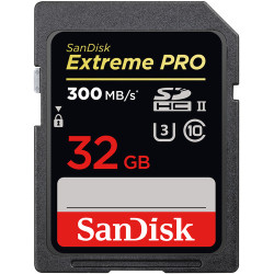 کارت حافظه Sandisk SD 32GB - 300MBs (2000x)
