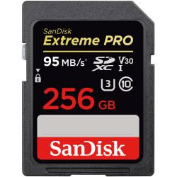 کارت حافظه Sandisk SD 256GB - 95MBs (633x)