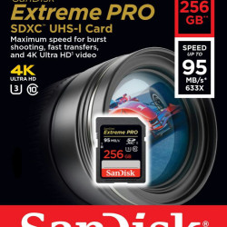 کارت حافظه Sandisk SD 256GB - 95MBs (633x)