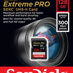 کارت حافظه Sandisk SD 128GB - 300MBs (2000x)